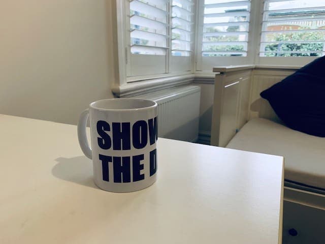 Show Me The Data mug