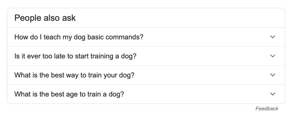 google people also ask example